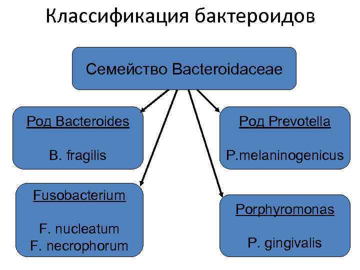 Классификация бактероидов Семейство Bacteroidaceae Род Bacteroides B. fragilis Fusobacterium F. nucleatum F. necrophorum Род