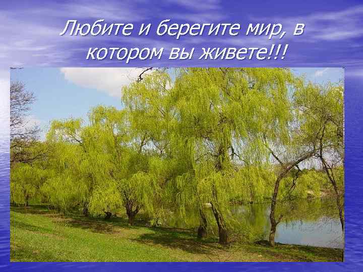 Любите и берегите мир, в котором вы живете!!! 
