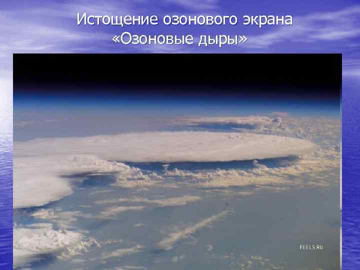 Истощение озонового экрана «Озоновые дыры» 