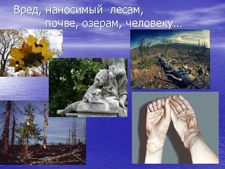 Вред, наносимый лесам, почве, озерам, человеку… 