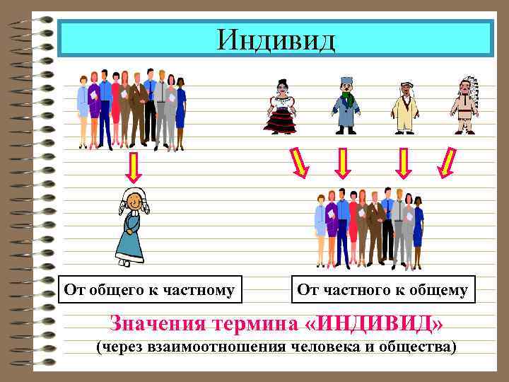 Индивид От общего к частному От частного к общему Значения термина «ИНДИВИД» (через взаимоотношения