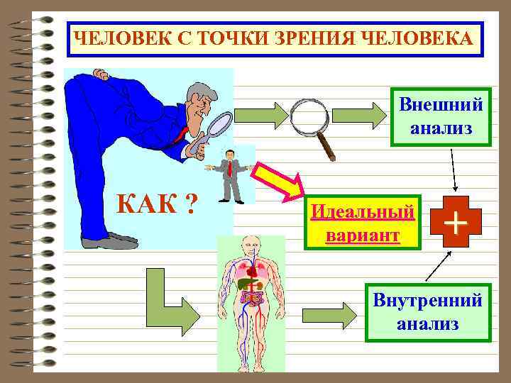 ЧЕЛОВЕК С ТОЧКИ ЗРЕНИЯ ЧЕЛОВЕКА Внешний анализ КАК ? Идеальный вариант + Внутренний анализ