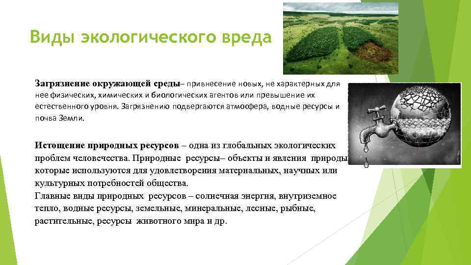 Виды экологического вреда Загрязнение окружающей среды– привнесение новых, не характерных для нее физических, химических