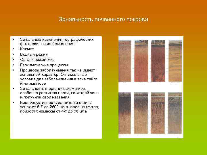 Зональность почвенного покрова • • Зональные изменения географических факторов почвообразования Климат Водный режим Органический