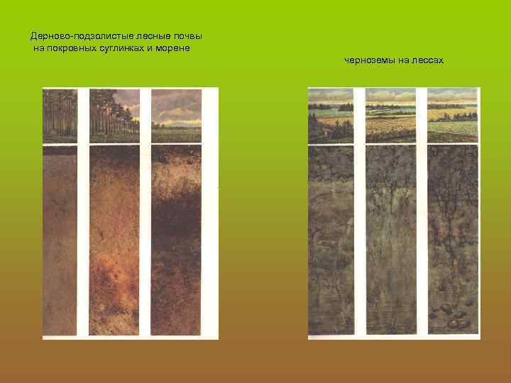 Дерново-подзолистые лесные почвы на покровных суглинках и морене черноземы на лессах 