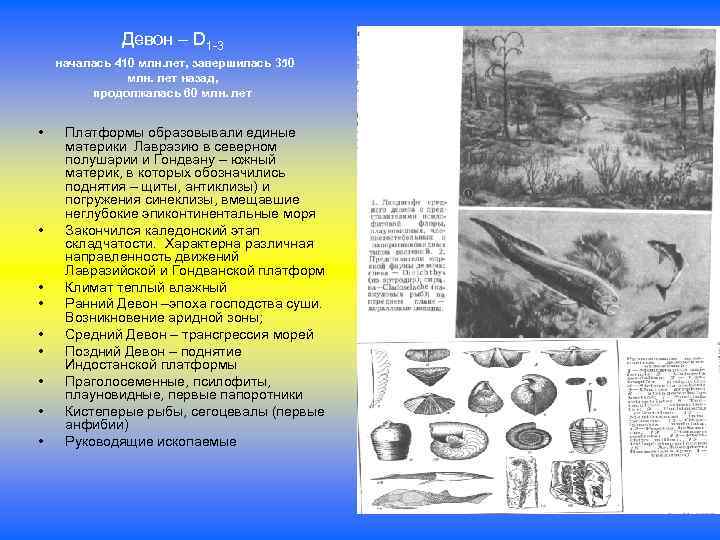 Девон – D 1 -3 началась 410 млн. лет, завершилась 350 млн. лет назад,
