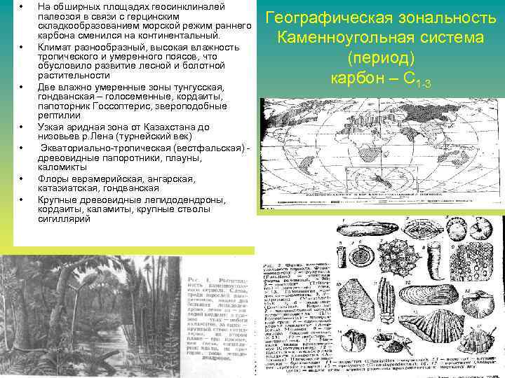  • • На обширных площадях геосинклиналей палеозоя в связи с герцинским складкообразованием морской