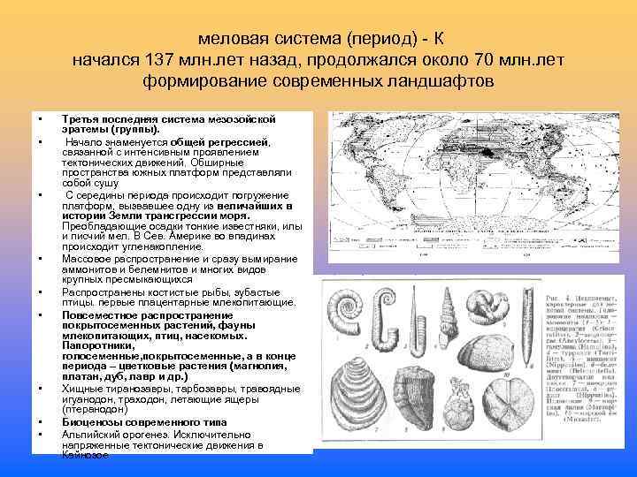  меловая система (период) - К начался 137 млн. лет назад, продолжался около 70