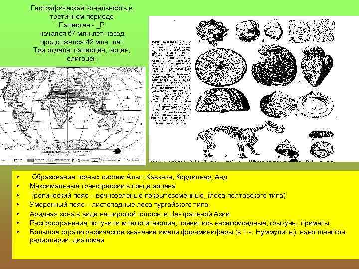 Географическая зональность в третичном периоде Палеоген - _Р начался 67 млн. лет назад продолжался