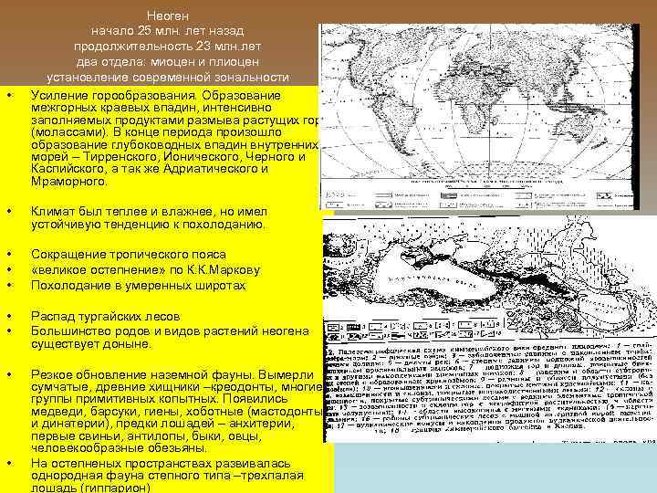  • Неоген начало 25 млн. лет назад продолжительность 23 млн. лет два отдела: