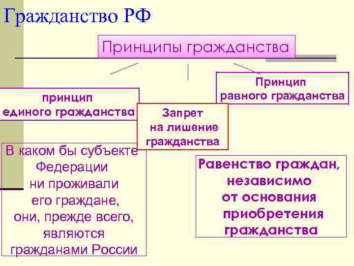 Гражданство РФ Принципы гражданства принцип единого гражданства В каком бы субъекте Федерации ни проживали