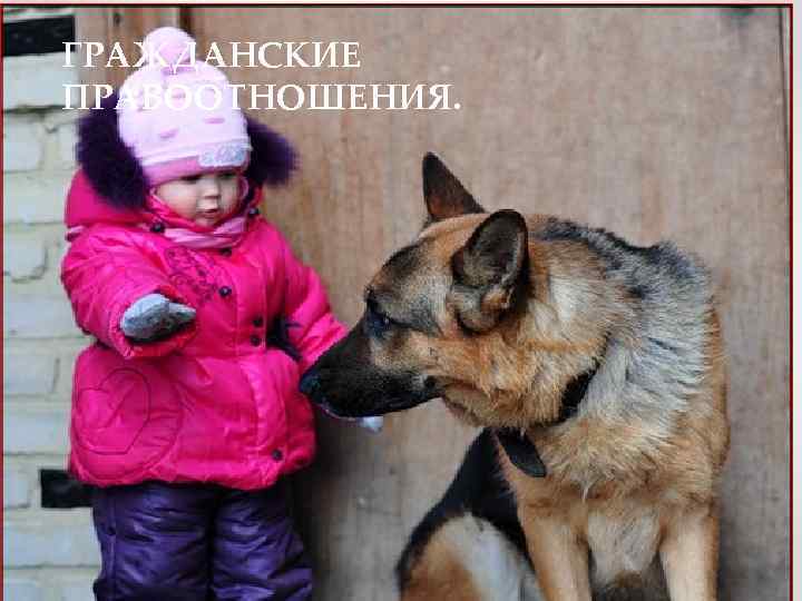 ГРАЖДАНСКИЕ ПРАВООТНОШЕНИЯ. 