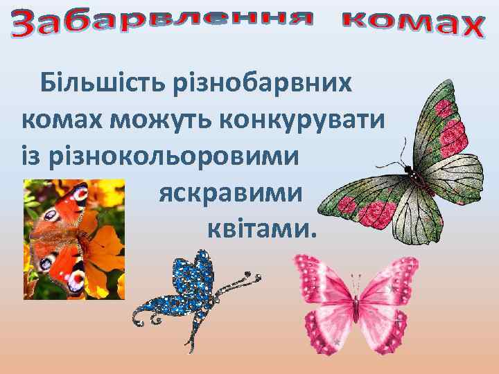 Більшість різнобарвних комах можуть конкурувати із різнокольоровими яскравими квітами. 