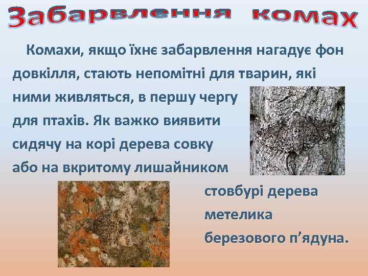 Комахи, якщо їхнє забарвлення нагадує фон довкілля, стають непомітні для тварин, які ними живляться,