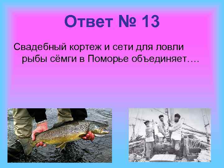 Ответ № 13 Свадебный кортеж и сети для ловли рыбы сёмги в Поморье объединяет….