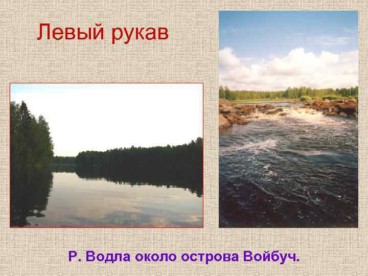 Левый рукав Р. Водла около острова Войбуч. Левый рукав Р. Водла около острова Войбуч.