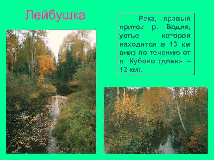 Лейбушка Река, правый приток р. Водла, устье которой находится в 13 км вниз по Лейбушка Река, правый приток р. Водла, устье которой находится в 13 км вниз по