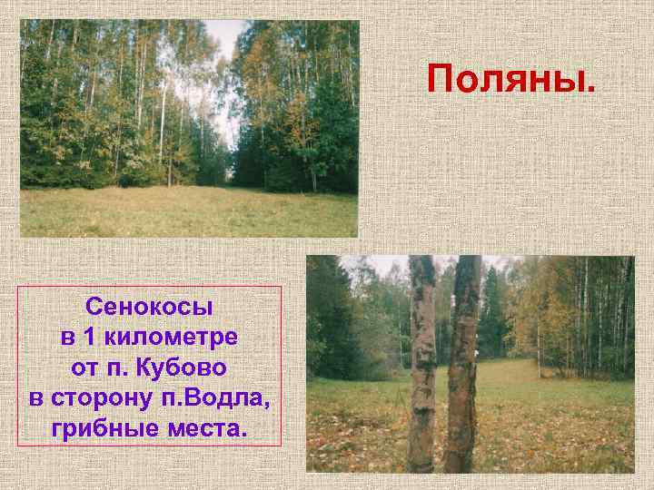 Поляны. Сенокосы в 1 километре от п. Кубово в сторону п. Водла, грибные Поляны. Сенокосы в 1 километре от п. Кубово в сторону п. Водла, грибные