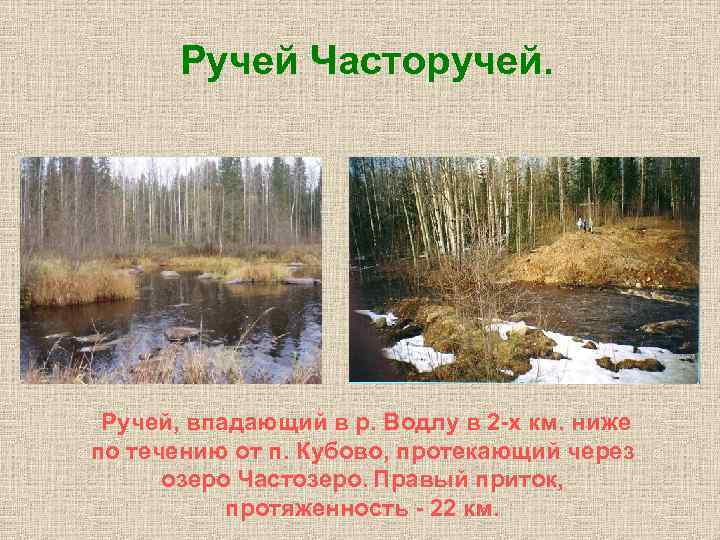 Ручей Часторучей. Ручей, впадающий в р. Водлу в 2 -х км. ниже по Ручей Часторучей. Ручей, впадающий в р. Водлу в 2 -х км. ниже по