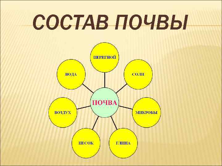 СОСТАВ ПОЧВЫ 