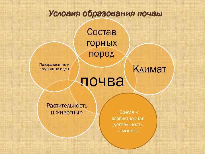 Условия образования почвы Состав горных пород Поверхностные и подземные воды почва Растительность и животные