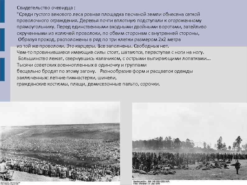 Свидетельство очевидца : 