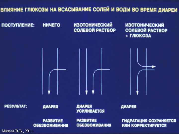 Малеев В. В. , 2011 