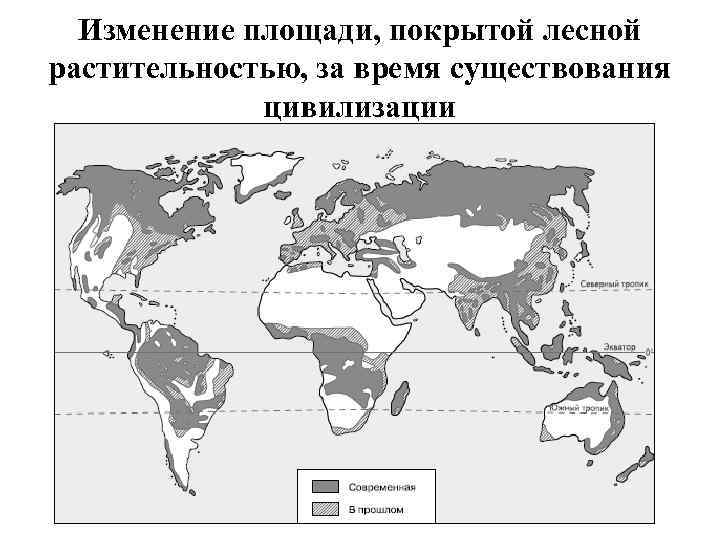 Изменение площади, покрытой лесной растительностью, за время существования цивилизации 