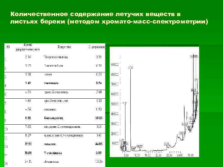 Количественное содержание летучих веществ в листьях береки (методом хромато-масс-спектрометрии) 
