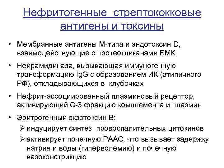 Нефритогенные стрептококковые антигены и токсины • Мембранные антигены М-типа и эндотоксин D, взаимодействующие с