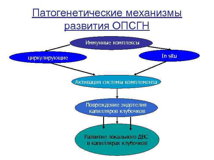 Патогенетические механизмы развития ОПСГН Иммунные комплексы In situ циркулирующие Активация системы комплемента Повреждение эндотелия