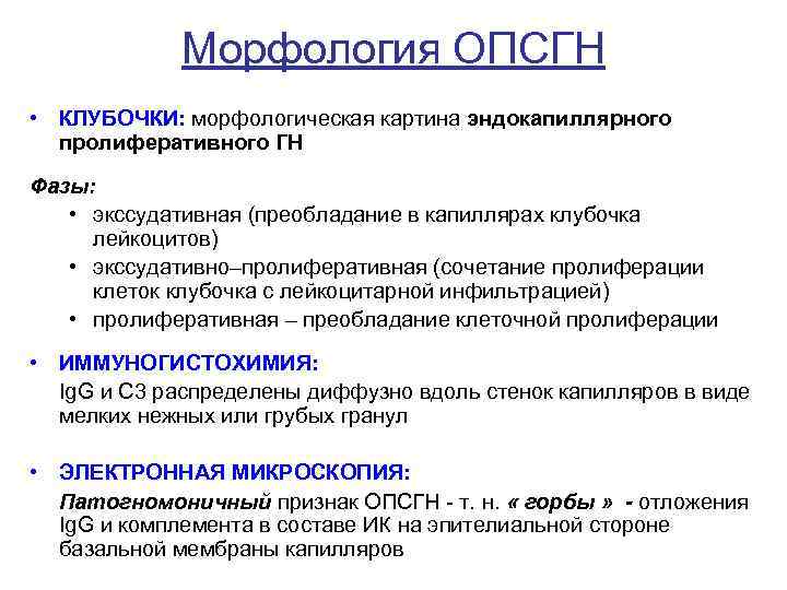 Морфология ОПСГН • КЛУБОЧКИ: морфологическая картина эндокапиллярного пролиферативного ГН Фазы: • экссудативная (преобладание в