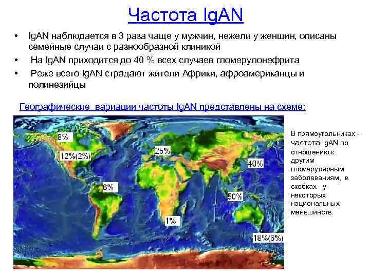 Частота Ig. AN • • • Ig. AN наблюдается в 3 раза чаще у