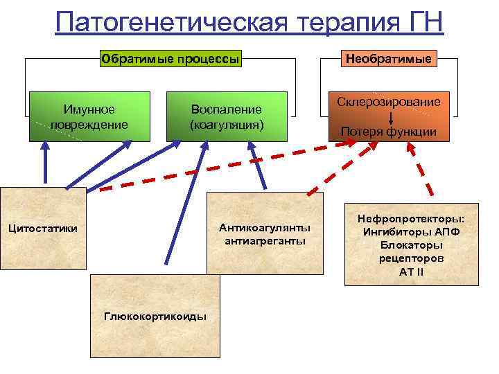 Патогенетическая терапия ГН Обратимые процессы Имунное повреждение Воспаление (коагуляция) Антикоагулянты антиагреганты Цитостатики Глюкокортикоиды Необратимые