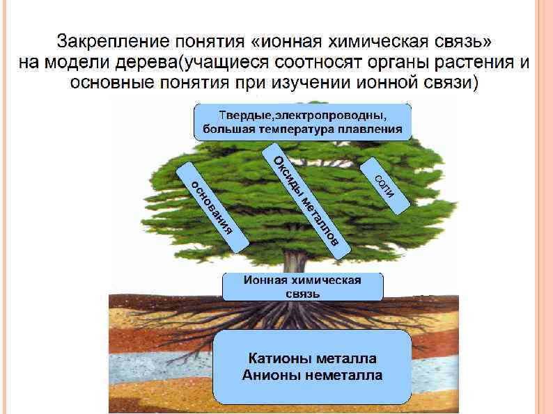 Закреплено понятие