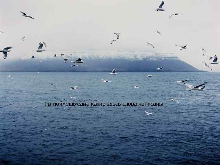 Ты поймёшь сама какие здесь слова написаны 