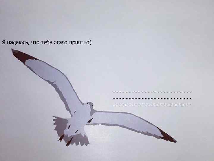Я надеюсь, что тебе стало приятно) ……………………………………………… 