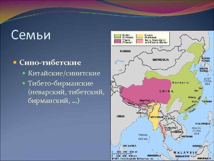 Семьи Сино-тибетские Китайские/синитские Тибето-бирманские (неварский, тибетский, бирманский, …) 22 