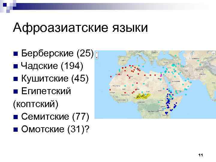 Афроазиатские языки Берберские (25) n Чадские (194) n Кушитские (45) n Египетский (коптский) n