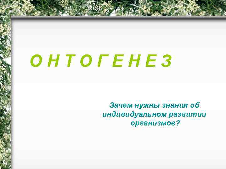 ОНТОГЕНЕЗ Онтогенез Зачем нужны знания об индивидуальном развитии организмов? 