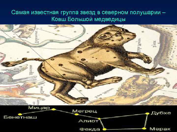 Самая известная группа звезд в северном полушарии – Ковш Большой медведицы 