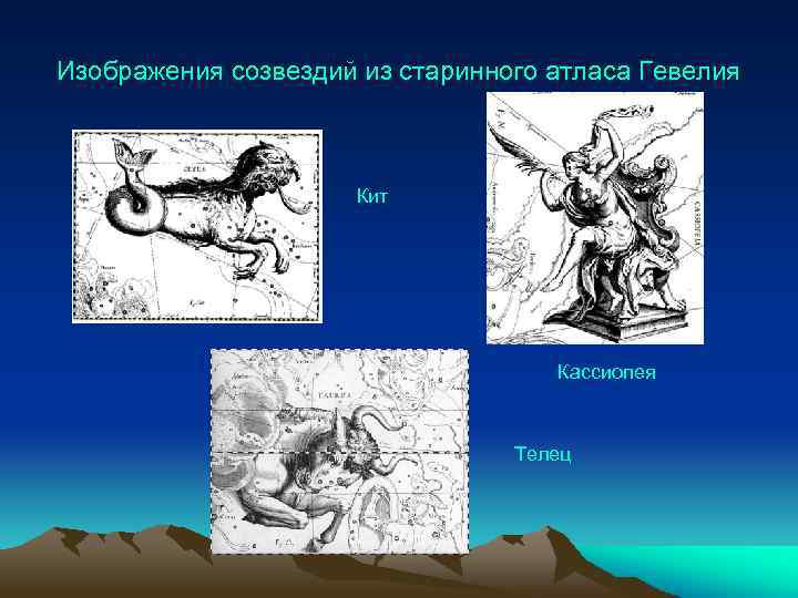 Изображения созвездий из старинного атласа Гевелия Кит Кассиопея Телец 