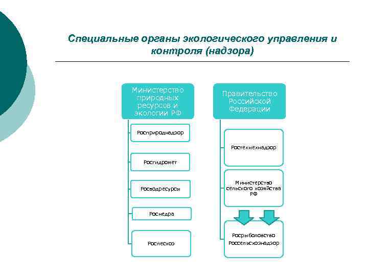 Специальные органы экологического управления и контроля (надзора) Министерство природных ресурсов и экологии РФ Правительство