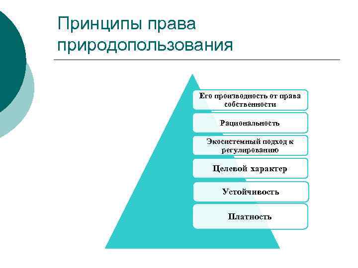 Принципы права природопользования Его производность от права собственности Рациональность Экосистемный подход к регулированию Целевой