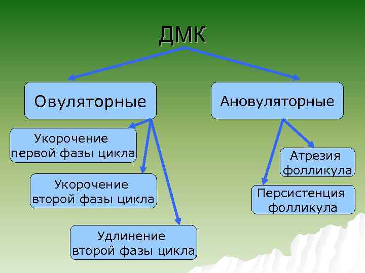 ДМК Овуляторные Укорочение первой фазы цикла Укорочение второй фазы цикла Удлинение второй фазы цикла