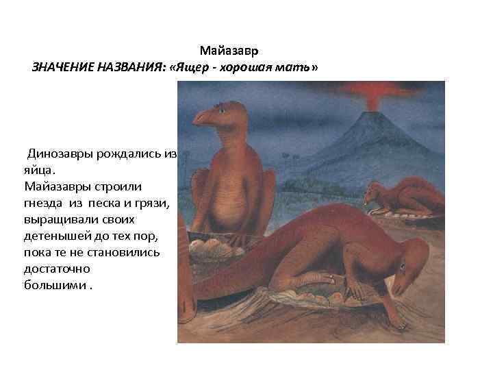  Майазавр ЗНАЧЕНИЕ НАЗВАНИЯ: «Ящер - хорошая мать» Динозавры рождались из яйца. Майазавры строили