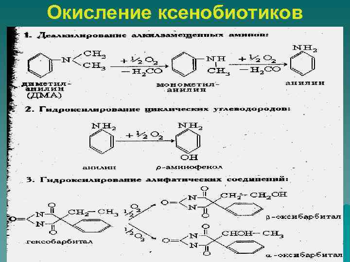 Схема микросомального окисления биохимия