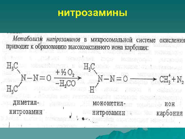 Схема редуктазной цепи окисления в микросомах