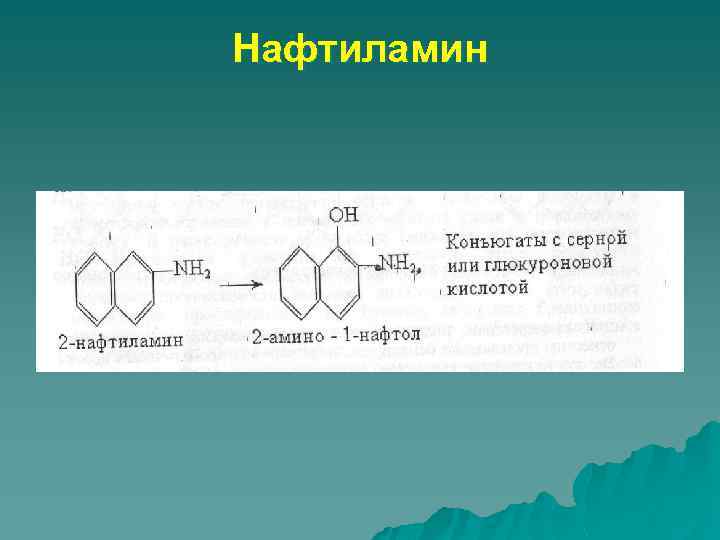 Нафтиламин 