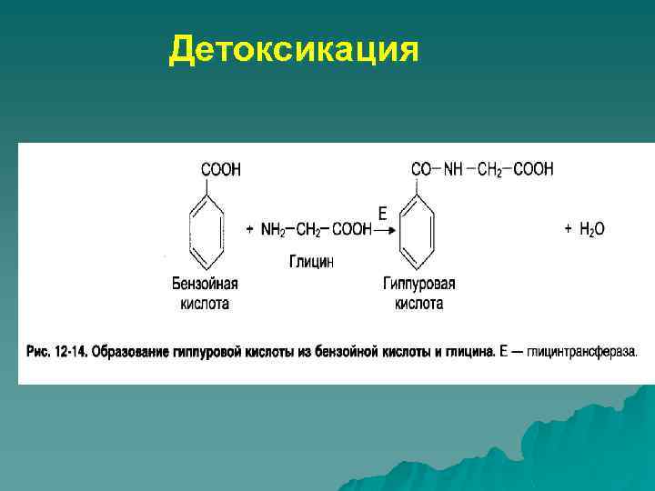 Детоксикация 